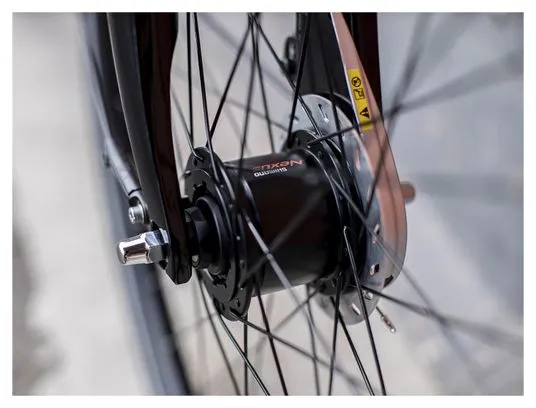 Bicicletta da città Trek District 1 Equiped Shimano Nexus 7V Matte Dnister Black 2023