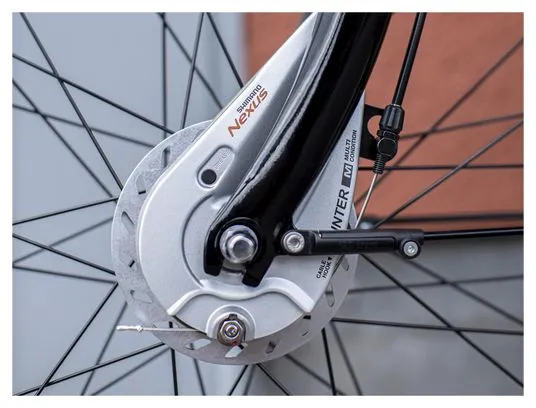 Bicicletta da città Trek District 1 Equiped Shimano Nexus 7V Matte Dnister Black 2023