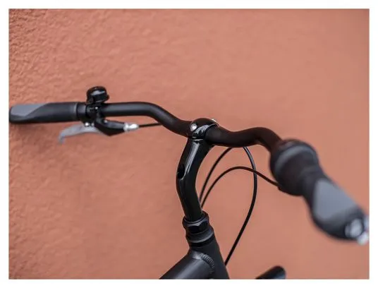 Bicicletta da città Trek District 1 Equiped Shimano Nexus 7V Matte Dnister Black 2023