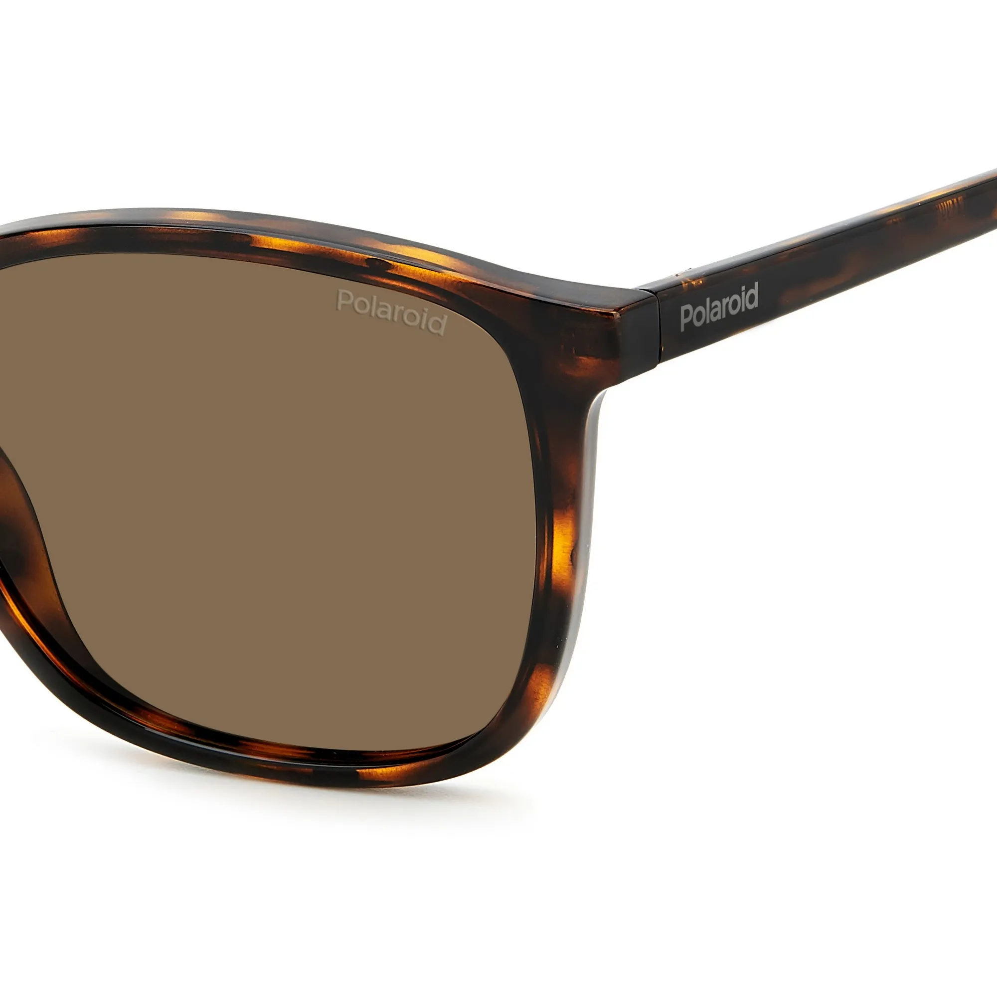   Polaroid PLD 4139/S - 086 SP Avana | Occhiale Da Sole Uomo 