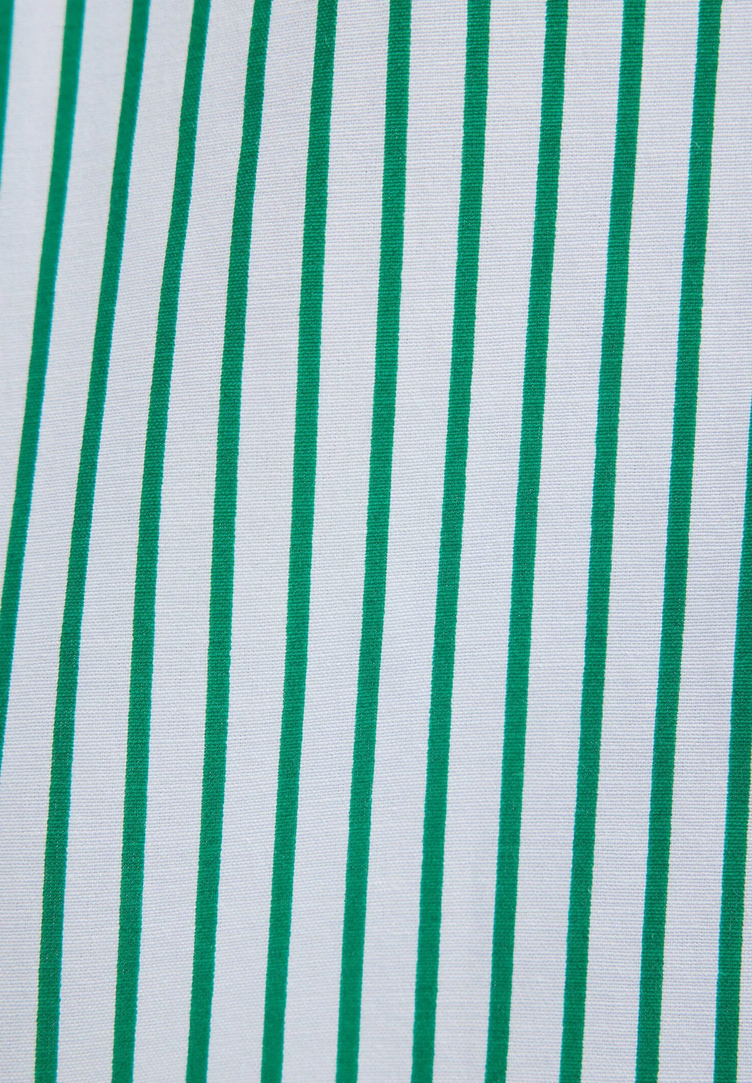 POPLIN  - Camicia